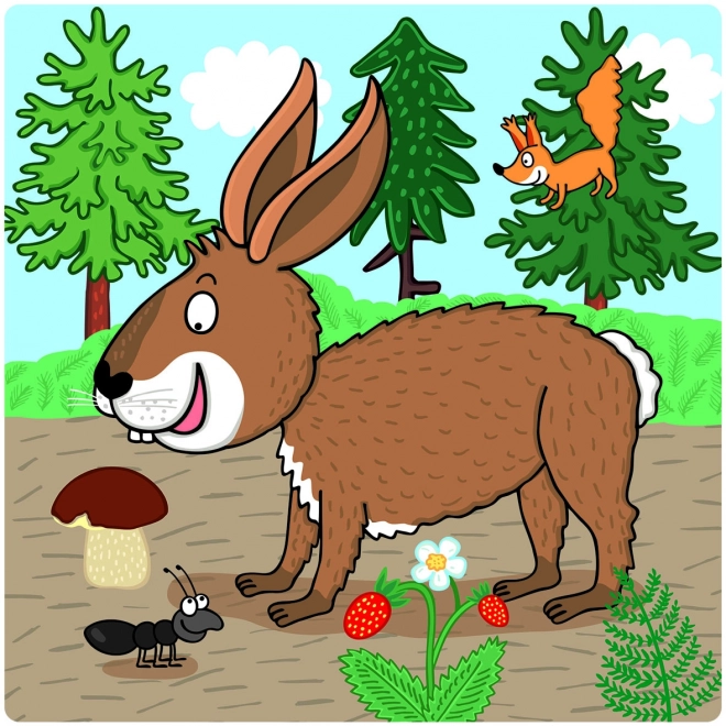 Dino Baby puzzle Zvieratká: Kde žijú? 3v1