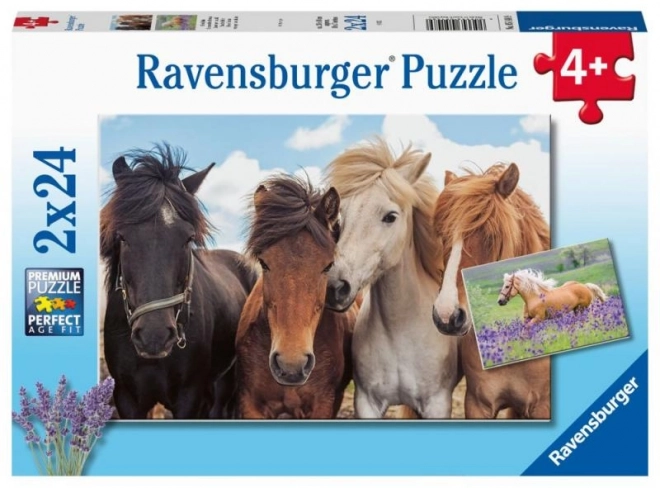 Ravensburger Puzzle Konská Láska 2x24 Dielikov