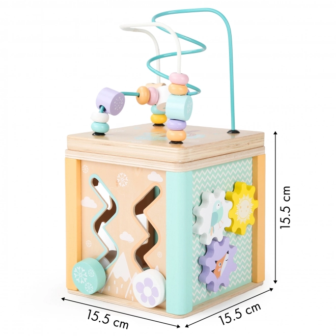 Drevená vzdelávacia kocka Sorter Ecotoys