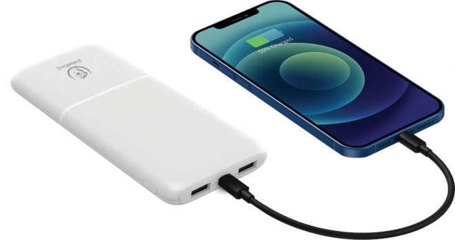 Powerbanka Rebeltec 10000 mAh