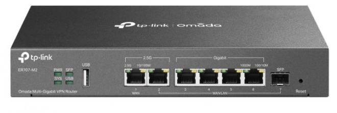 Multi-gigabit VPN router