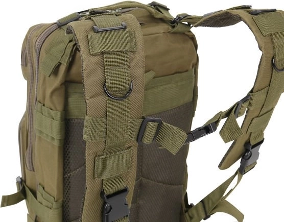 Priestranné hlavné komory