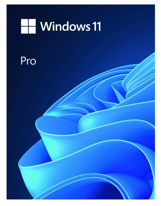 Windows 11 Pro USB Flash Disk