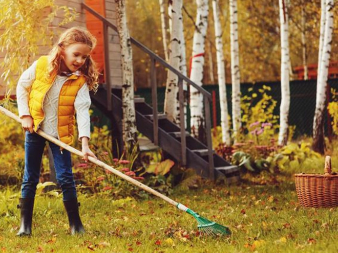 Záhradné hrable na lístie a trávu ľahké kovové s dĺžkou 36 cm