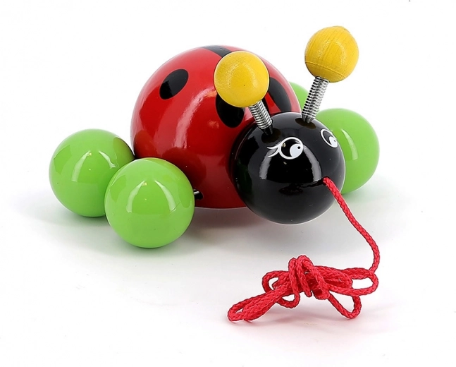 Hladká lakovaná drevená konštrukcia