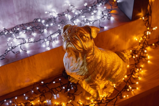Inteligentné LED svetlá Twinkly Cluster 400 LED, 6m, IP44, čierny kábel