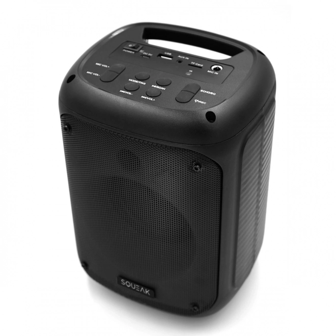 Prenosný reproduktor Bluetooth s funkciou KARAOKE