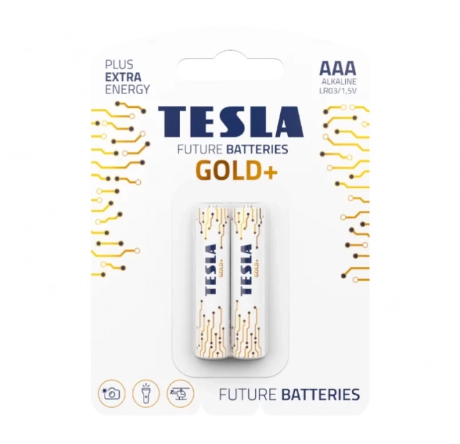 Alkalické batérie AAA Tesla Gold+ 2 balenia