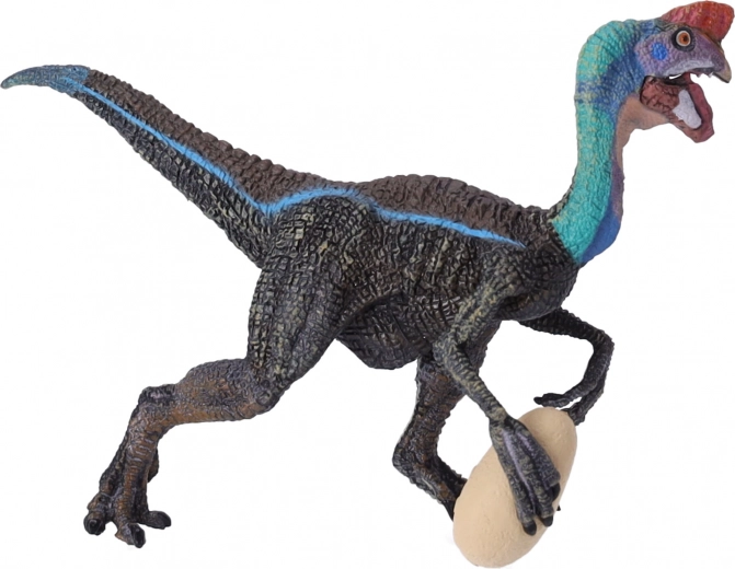 Ideálne na vzdelávanie aj do zbierky