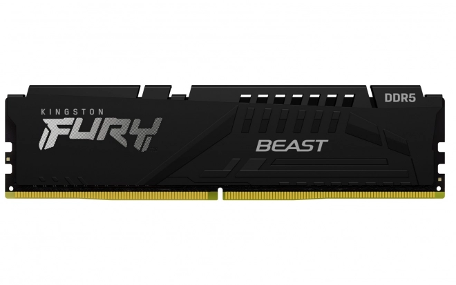 Pamäť Kingston Fury Beast DDR5 16GB 6000MHz CL30 XMP čierna