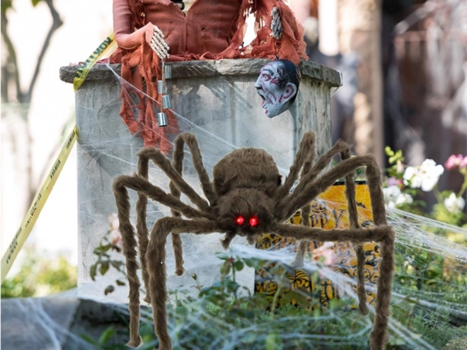 Obrovská Tarantula Na Halloween