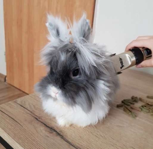 Tichý chod pre pokojné strihanie