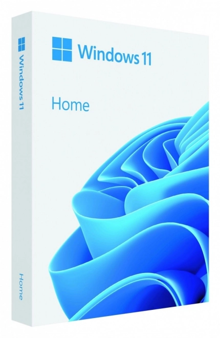 Windows 11 domov pl usb flash disk