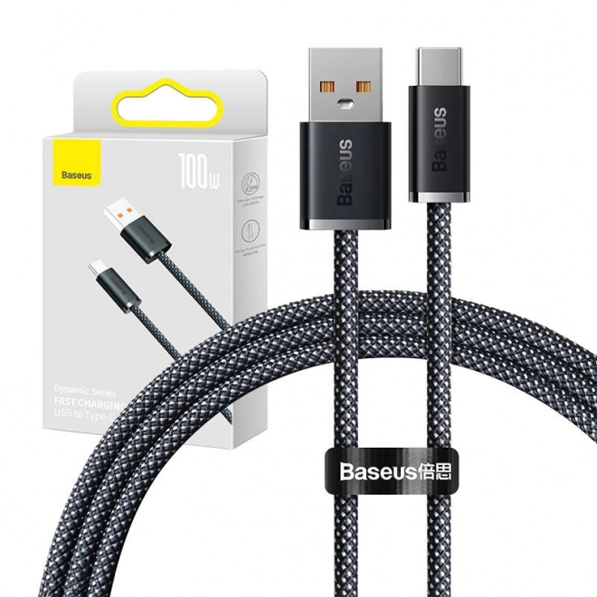 USB na USB-C kábel Baseus Dynamic, 100 W, 1 m, sivý