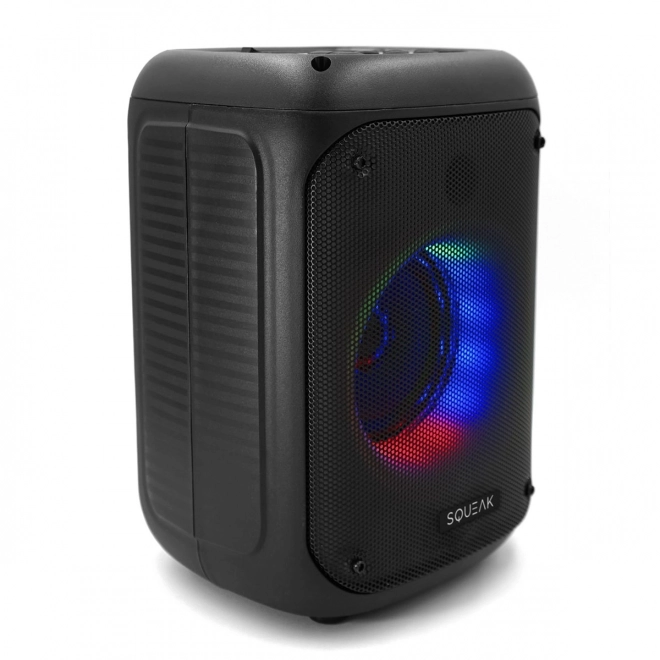 Prenosný reproduktor Bluetooth s funkciou KARAOKE