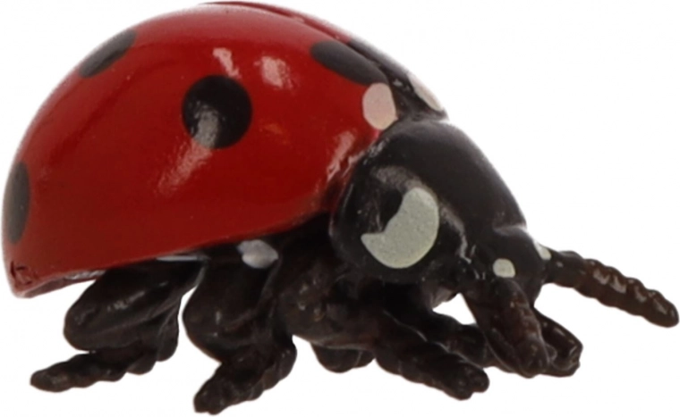 Malé rozmery, veľké možnosti hry