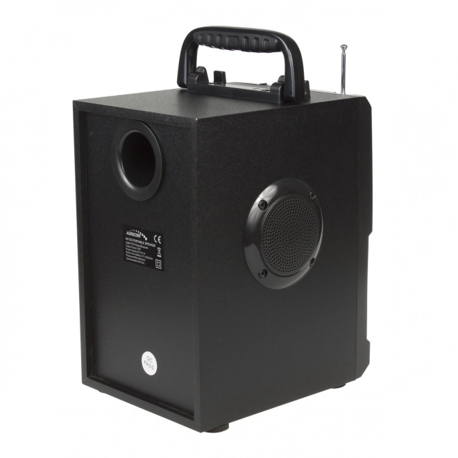 Bluetooth reproduktor s rádiom a USB Audiocore