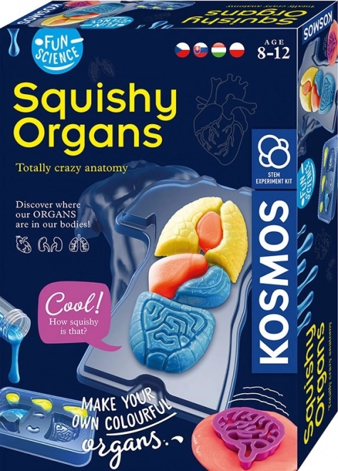 Zábavný vedecký set – Squishy Orgány