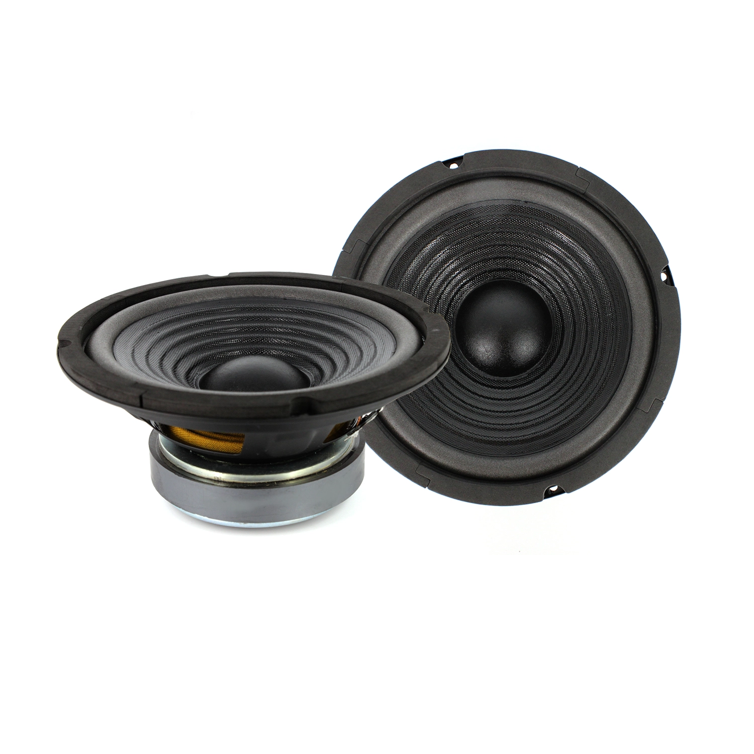 Reproduktor HSP 8″ / 200 mm