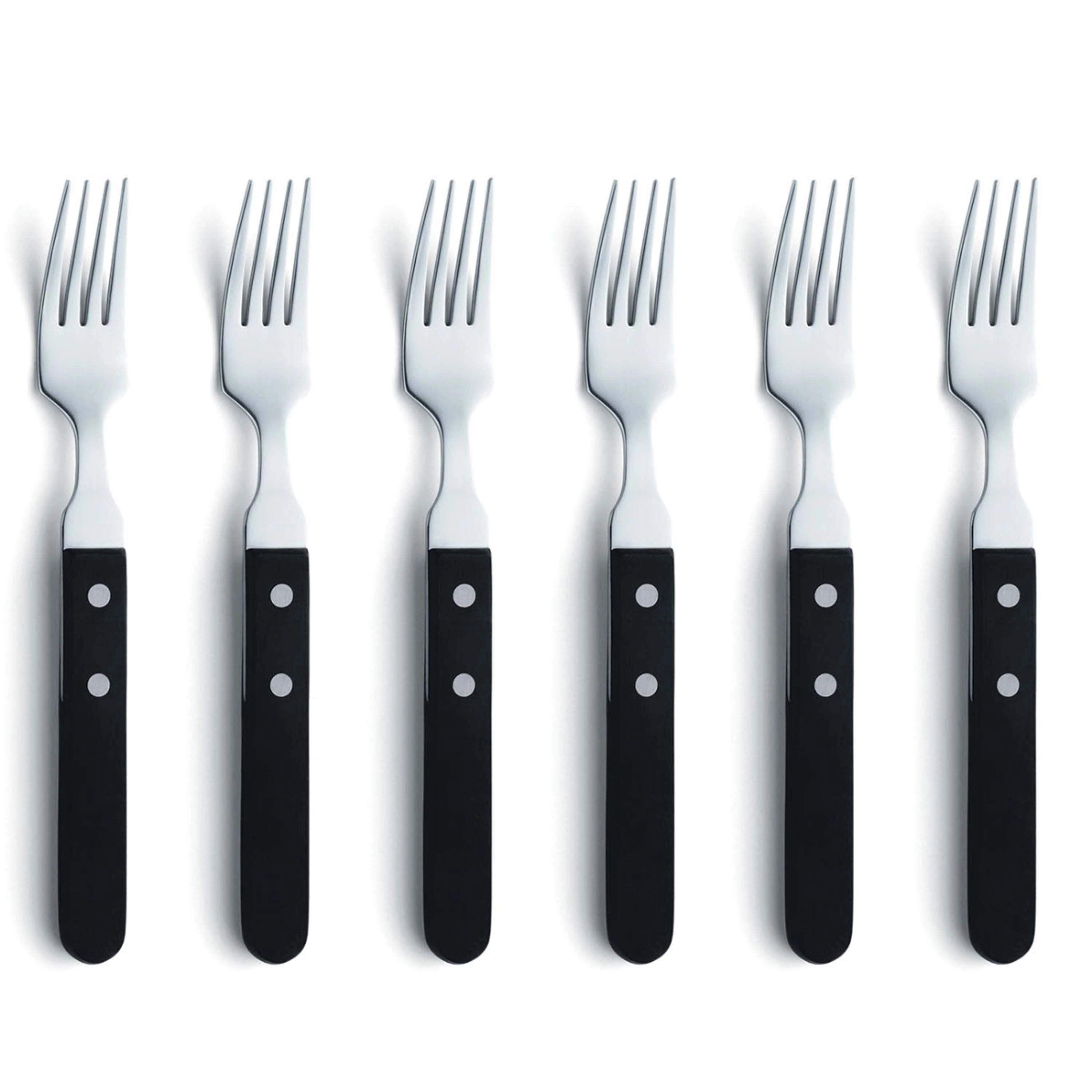 E-shop Sada steakových vidličiek AMEFA 6ks