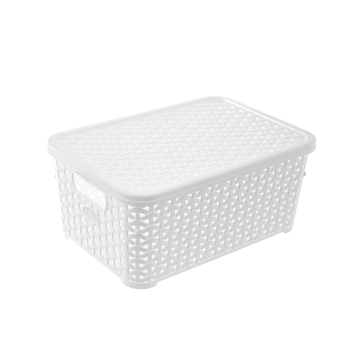 E-shop Hobby úložný box ratan s vekom 6 l biely