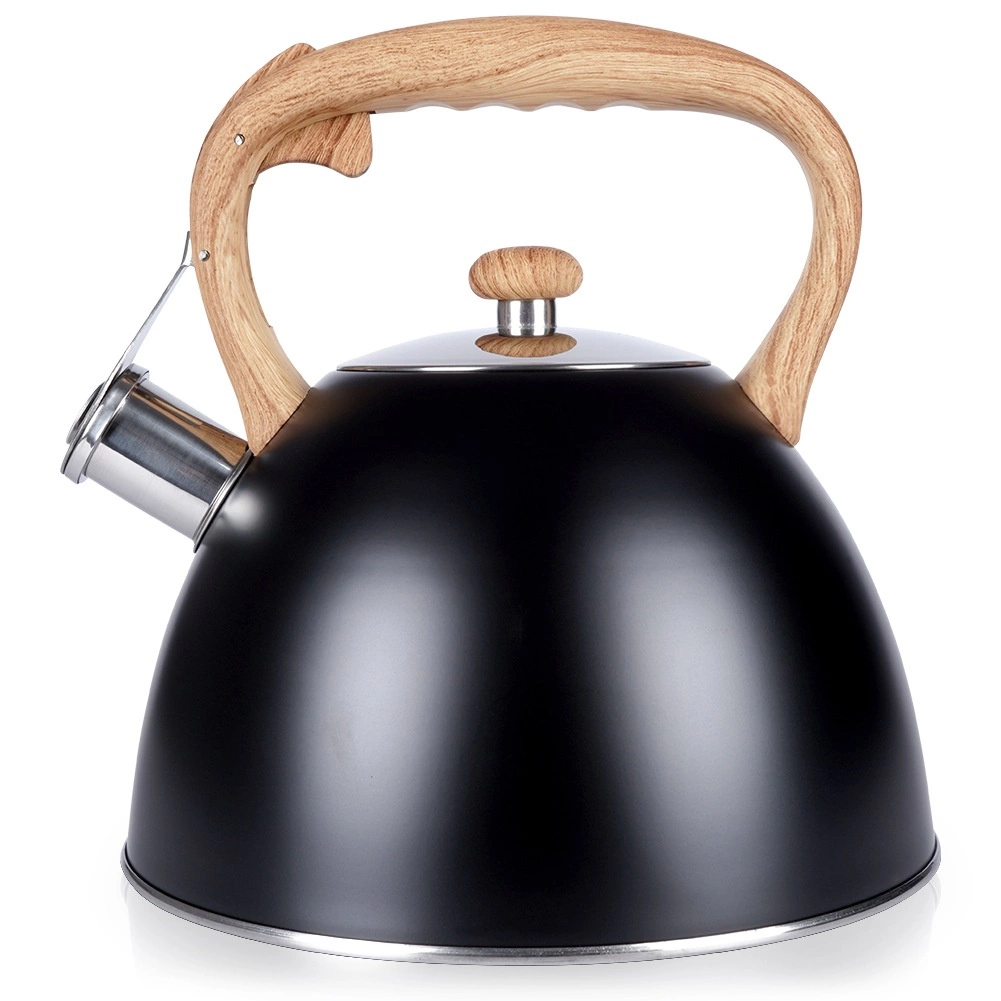 Pískajúca nerezová kanvica na sporák 3 l, čierna Vilde