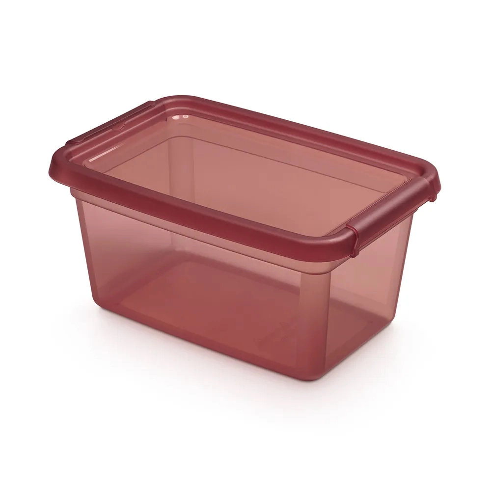 E-shop Basestore úložná dóza s vekom a klipsami 4,5 l rhubarb