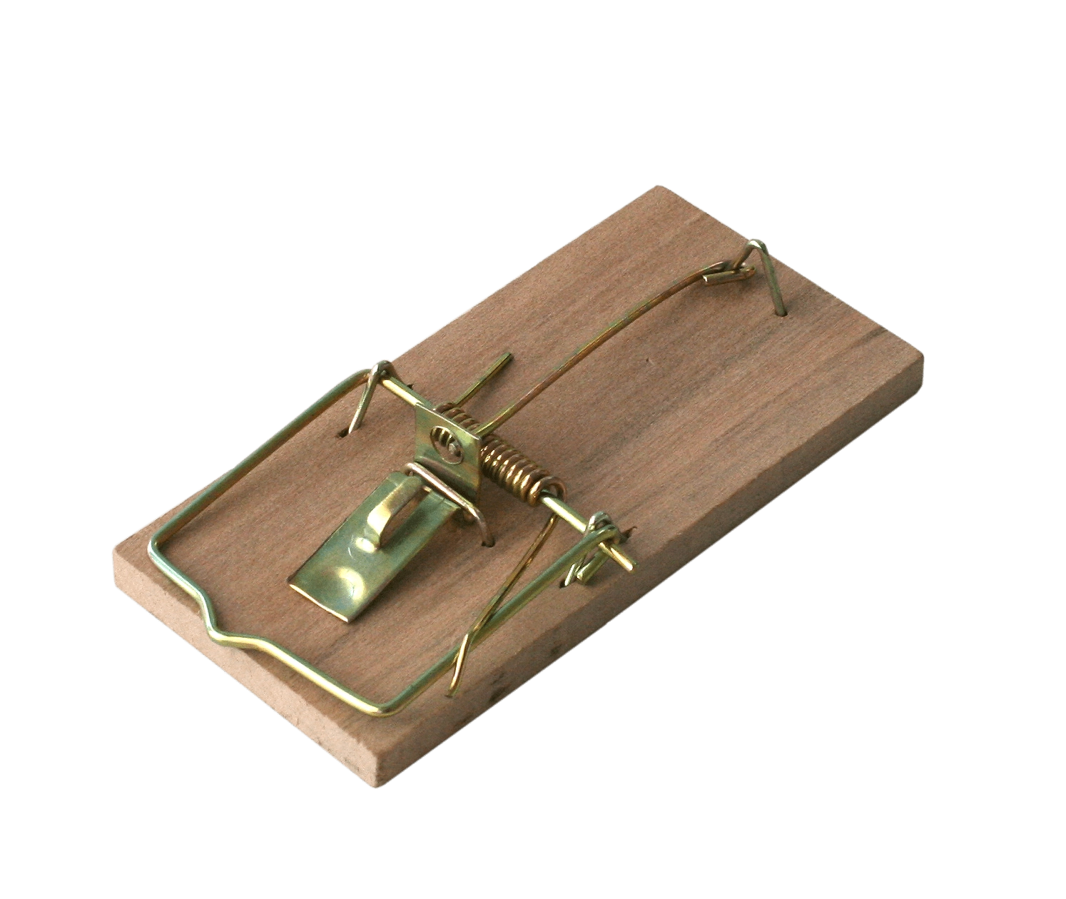 Slovakia Trend Pasca na myši drevená KDO801