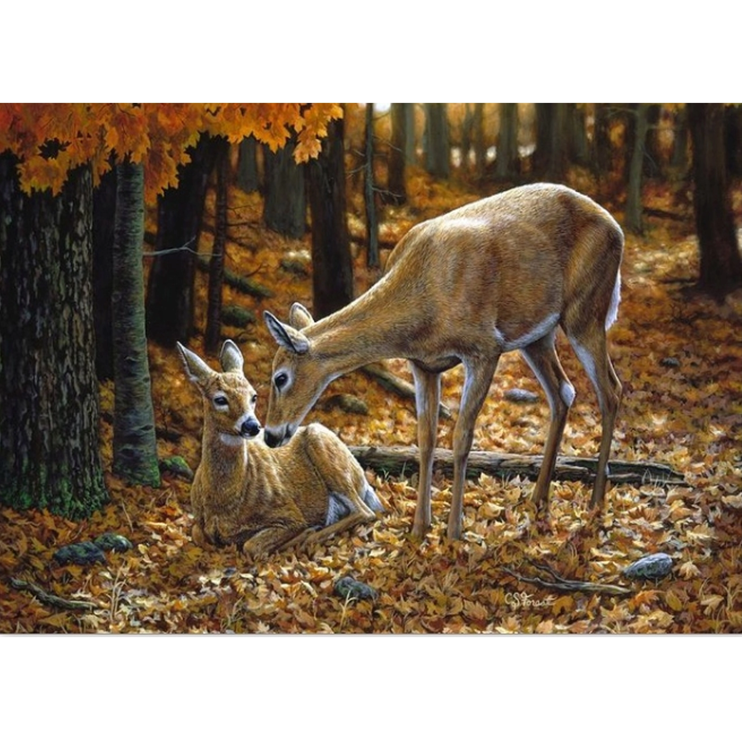 E-shop Diamantové maľovanie s rámom 30 × 40 cm – srnky