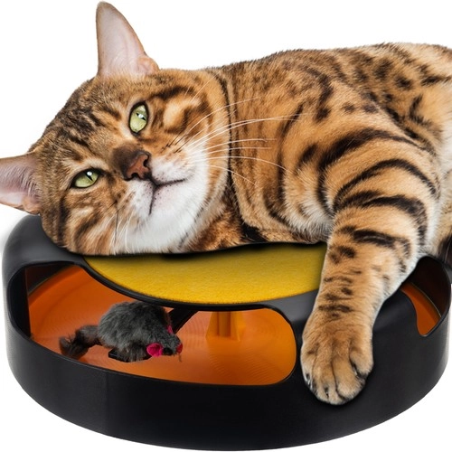 E-shop ISO Purlov Catch the mouse 25 x 6,5 cm