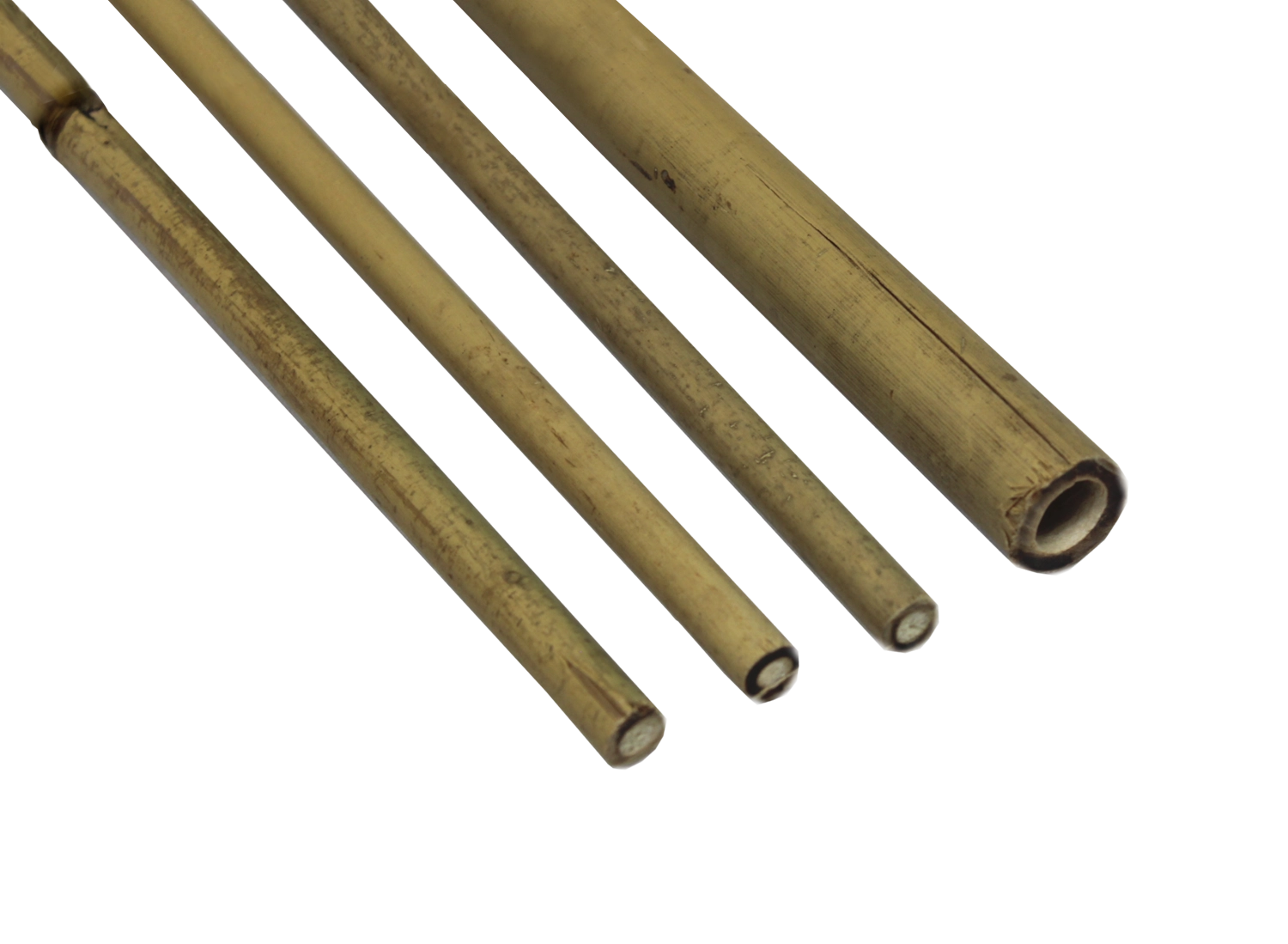 E-shop Bestent Bambusová oporná tyč 14-16mm 150cm