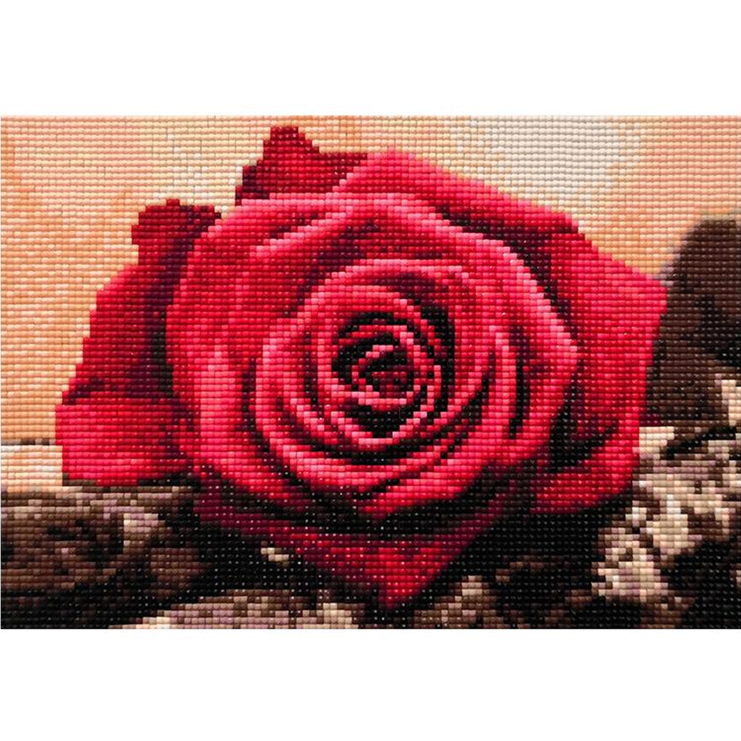 E-shop Diamantové maľovanie s rámom 20 × 30 cm – ruže