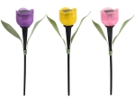 Solárna záhradná lampa tulipán s LED, mix farieb