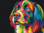 Obraz maľovanie podľa čísel - Pes v farbách