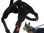 Pevný, netlakový postroj pre psy LIGHTHANDLE veľkosť L