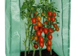 Záhradný fóliovník 100 × 50 × 150 cm