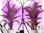 LED pestovacia lampa na statíve so 4 ramenami CARDLOV