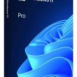 Windows Pro 11 64bit USB Flash Disk
