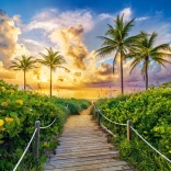 Puzzle 3000 dielikov Colorful Sunrise in Miami
