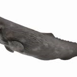 Veľryba z kolekcie Collecta