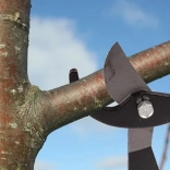 Záhradné pákové nožnice na vetvy s dlhými ramenami