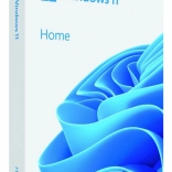 Windows 11 Domov 64bit USB Flash Disk